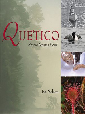 cover image of Quetico